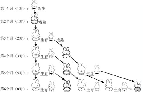 兔子問題|兔子问题(斐波那契数列)